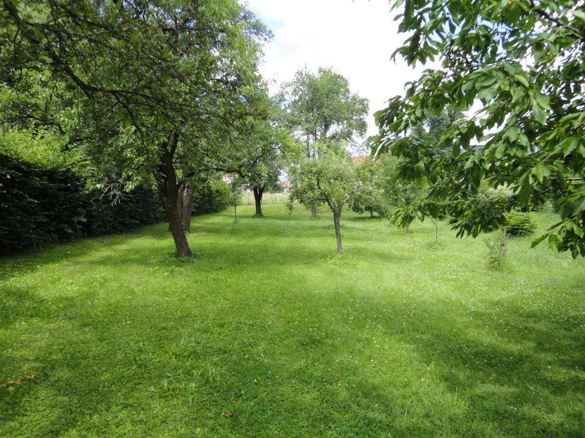 Zeilinger Villa Knittelfeld Zewnętrze zdjęcie