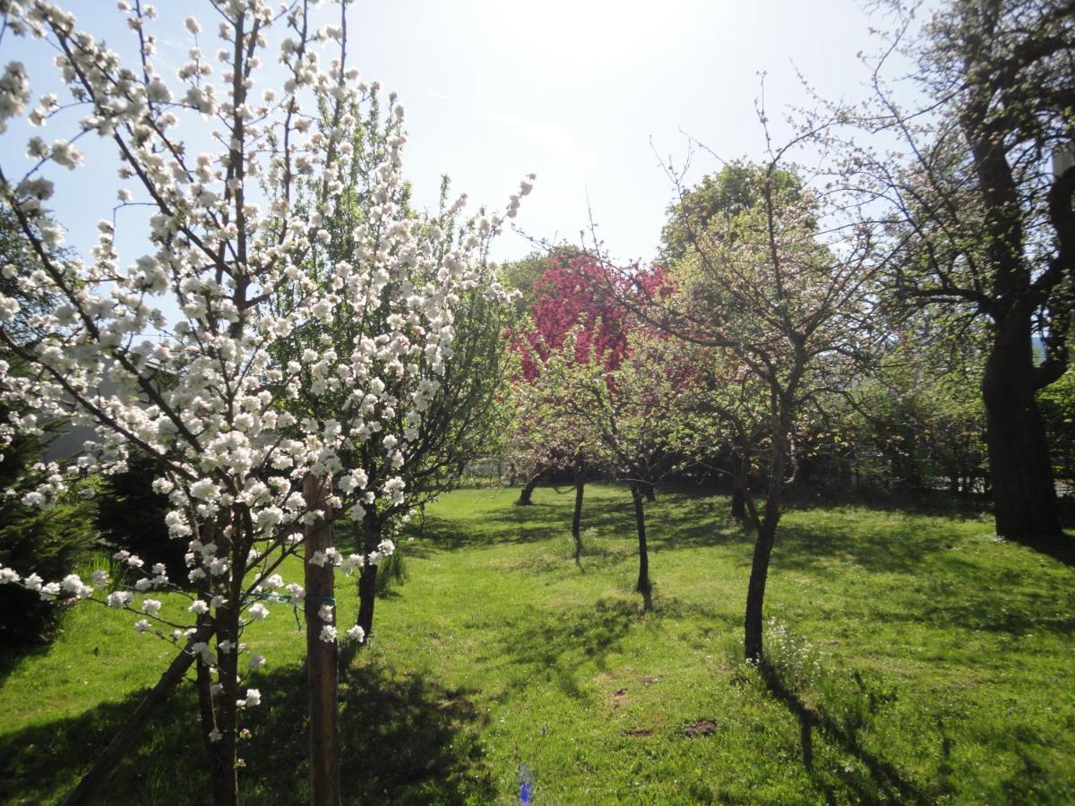 Zeilinger Villa Knittelfeld Zewnętrze zdjęcie
